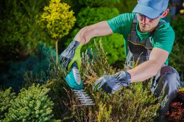 landscaping services Spottsville